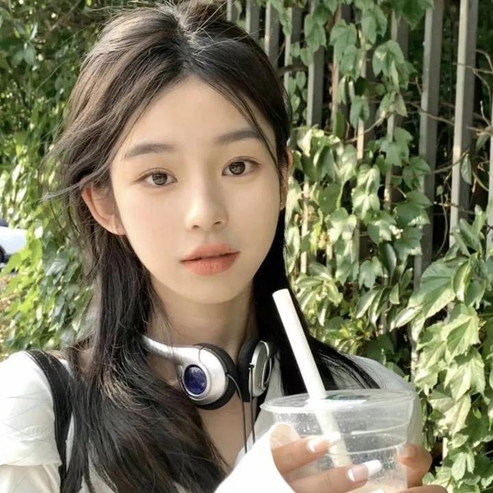 狗纹龙爸爸